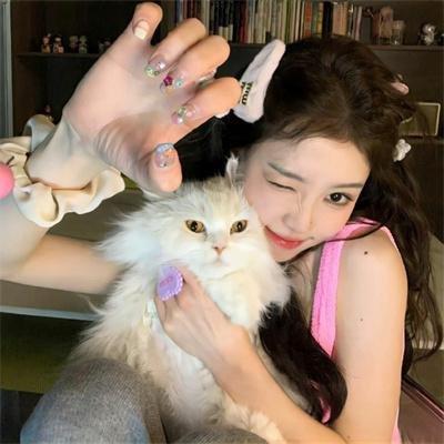 高达 G之复国运动 剧场版II 贝尔利进击